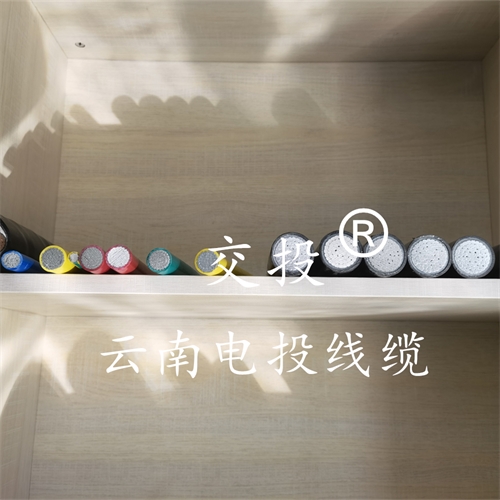 www.eufpstj.cn