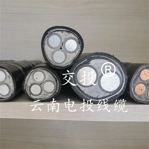 www.eufpstj.cn