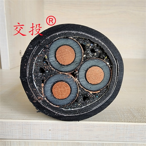 www.eufpstj.cn